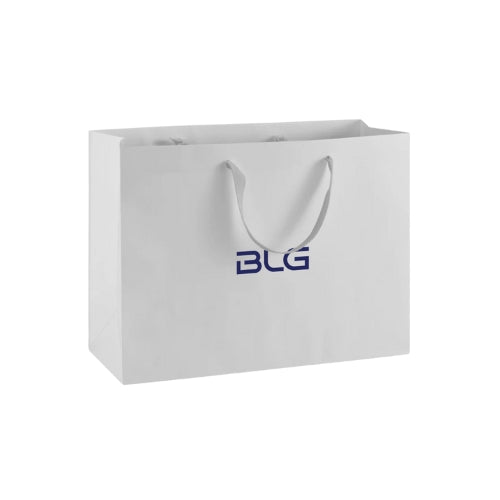 Large Gift Bag w/Tissue Paper